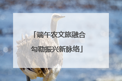 端午农文旅融合 勾勒振兴新脉络