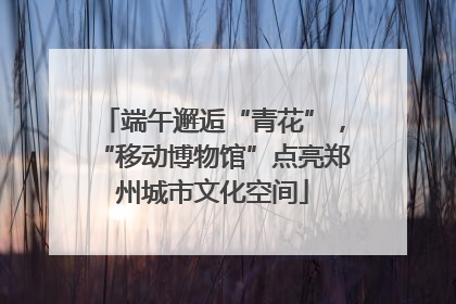 端午邂逅“青花”，“移动博物馆”点亮郑州城市文化空间