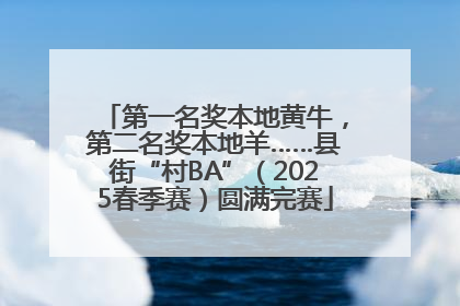 第一名奖本地黄牛，第二名奖本地羊……县街“村BA”（2025春季赛）圆满完赛