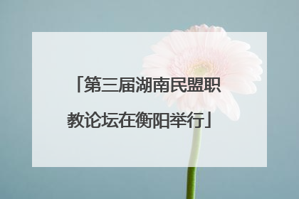 第三届湖南民盟职教论坛在衡阳举行