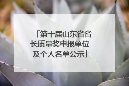 第十届山东省省长质量奖申报单位及个人名单公示