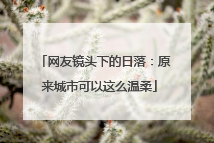 网友镜头下的日落：原来城市可以这么温柔