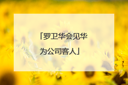 罗卫华会见华为公司客人
