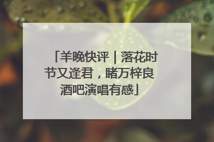 羊晚快评｜落花时节又逢君，睹万梓良酒吧演唱有感