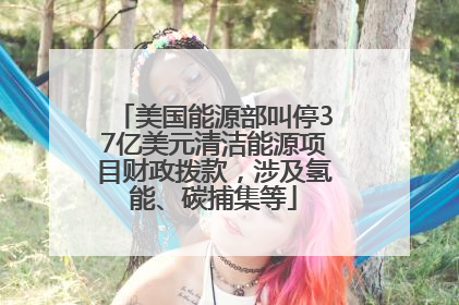 美国能源部叫停37亿美元清洁能源项目财政拨款，涉及氢能、碳捕集等