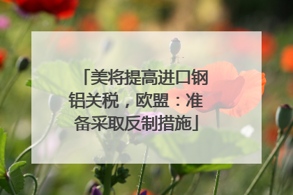 美将提高进口钢铝关税，欧盟：准备采取反制措施