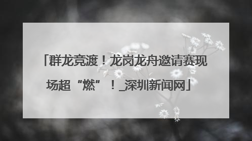 群龙竞渡！龙岗龙舟邀请赛现场超“燃”！_深圳新闻网
