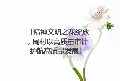 精神文明之花绽放，周村以高质量审计护航高质量发展