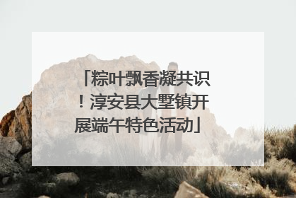 粽叶飘香凝共识！淳安县大墅镇开展端午特色活动
