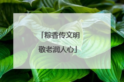 粽香传文明 敬老润人心