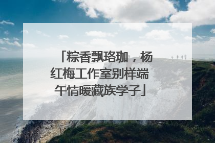 粽香飘珞珈，杨红梅工作室别样端午情暖藏族学子