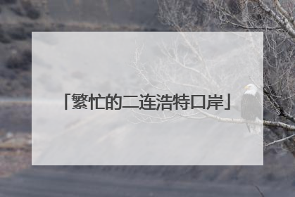 繁忙的二连浩特口岸