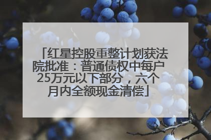 红星控股重整计划获法院批准：普通债权中每户25万元以下部分，六个月内全额现金清偿