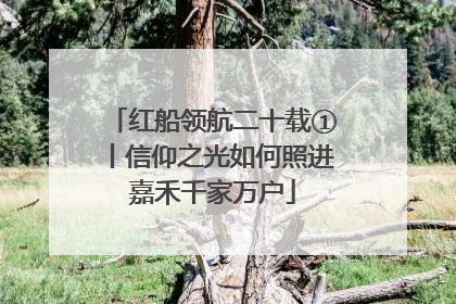 红船领航二十载①丨信仰之光如何照进嘉禾千家万户
