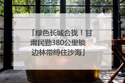 绿色长城合拢！甘肃民勤380公里锁边林带缚住沙海