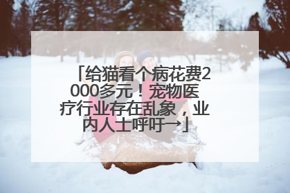 给猫看个病花费2000多元！宠物医疗行业存在乱象，业内人士呼吁→