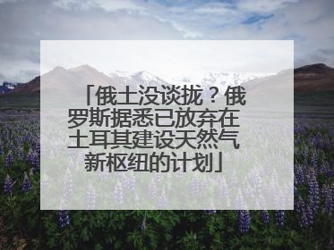 俄土没谈拢？俄罗斯据悉已放弃在土耳其建设天然气新枢纽的计划