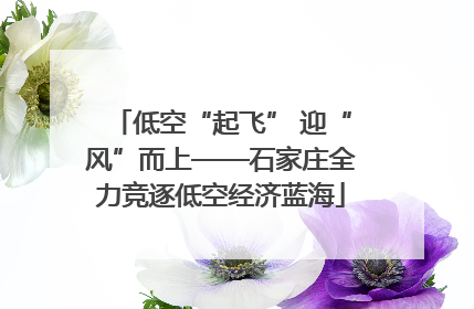 低空“起飞” 迎“风”而上——石家庄全力竞逐低空经济蓝海