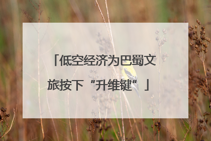低空经济为巴蜀文旅按下“升维键”