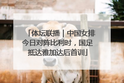体坛联播｜中国女排今日对阵比利时，国足抵达雅加达后首训