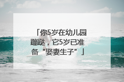 你5岁在幼儿园蹦跶，它5岁已准备“娶妻生子”