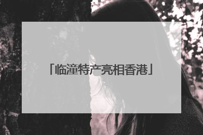 临潼特产亮相香港