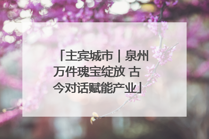 主宾城市｜泉州万件瑰宝绽放 古今对话赋能产业