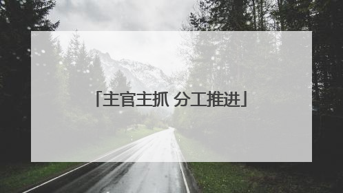 主官主抓 分工推进