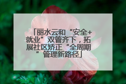 丽水云和“安全+就业”双管齐下，拓展社区矫正“全周期”管理新路径