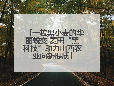 一粒黑小麦的华丽蜕变 麦田“黑科技”助力山西农业向新提质