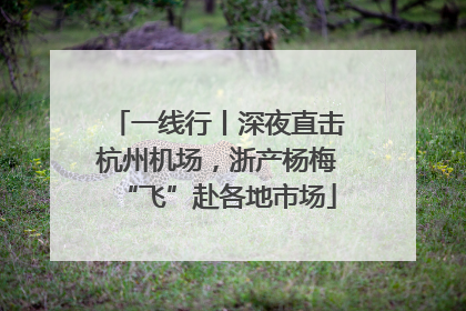 一线行丨深夜直击杭州机场，浙产杨梅“飞”赴各地市场