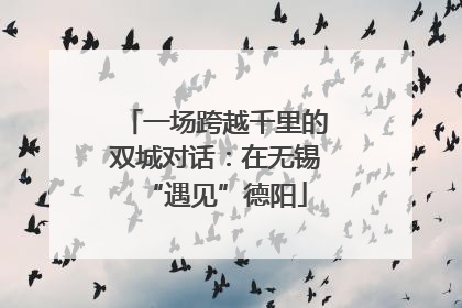 一场跨越千里的双城对话：在无锡“遇见”德阳