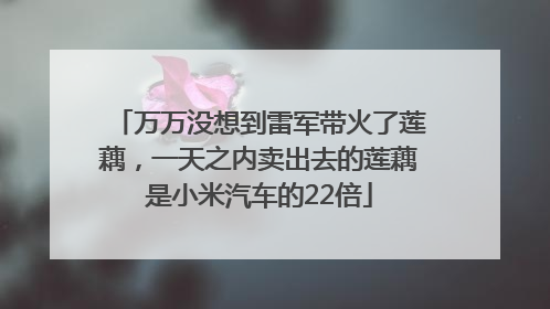万万没想到雷军带火了莲藕，一天之内卖出去的莲藕是小米汽车的22倍