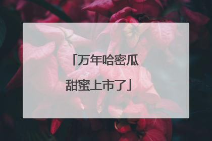 万年哈密瓜甜蜜上市了