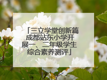 三立学堂创新篇 成都站东小学开展一、二年级学生综合素养测评