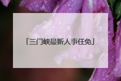 三门峡最新人事任免