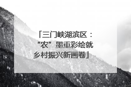 三门峡湖滨区：“农”墨重彩绘就乡村振兴新画卷