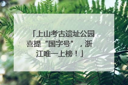 上山考古遗址公园喜提“国字号”，浙江唯一上榜！