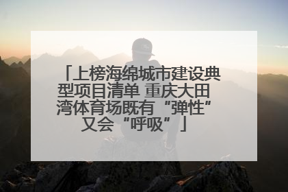 上榜海绵城市建设典型项目清单 重庆大田湾体育场既有“弹性”又会“呼吸”