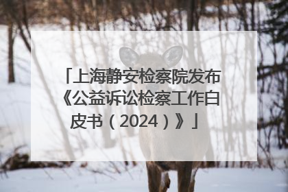 上海静安检察院发布《公益诉讼检察工作白皮书（2024）》