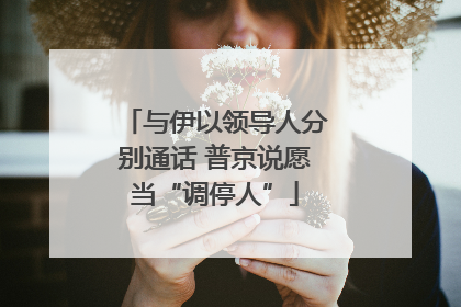 与伊以领导人分别通话 普京说愿当“调停人”