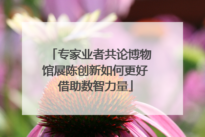 专家业者共论博物馆展陈创新如何更好借助数智力量