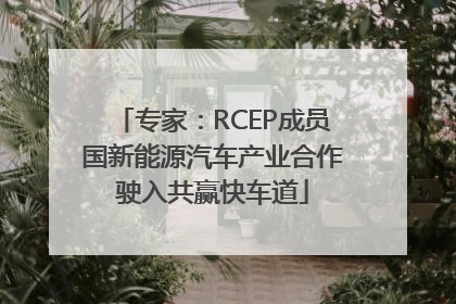 专家：RCEP成员国新能源汽车产业合作驶入共赢快车道