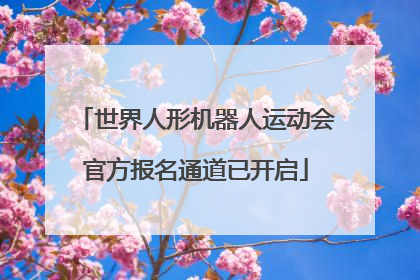 世界人形机器人运动会官方报名通道已开启