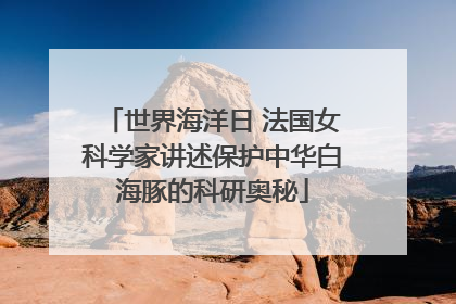 世界海洋日 法国女科学家讲述保护中华白海豚的科研奥秘