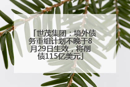世茂集团：境外债务重组计划不晚于8月29日生效，将削债115亿美元