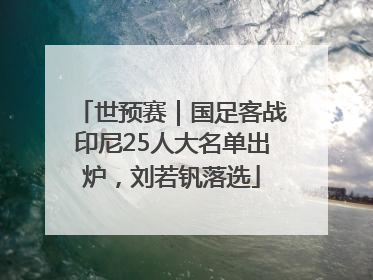 世预赛｜国足客战印尼25人大名单出炉，刘若钒落选
