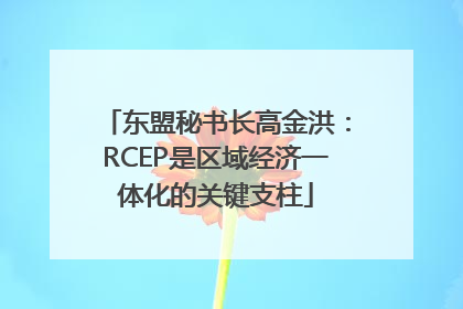 东盟秘书长高金洪：RCEP是区域经济一体化的关键支柱