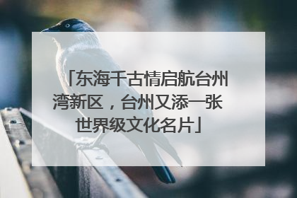 东海千古情启航台州湾新区，台州又添一张世界级文化名片