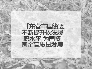 东营市国资委不断提升依法履职水平 为国资国企高质量发展提供坚实保障